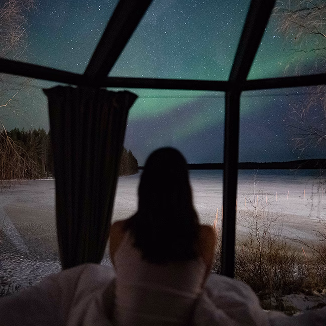 2024-12_Aurora-Nest-with-woman-and-northern-ligths_AR_Web-Still_650x650